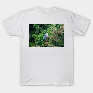 Black-crowned night heron in Honolulu T-Shirt